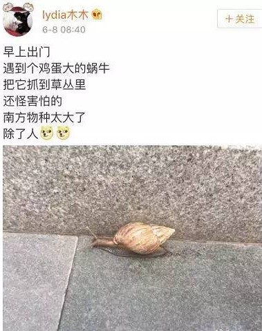 盘点南方那些超大的动物