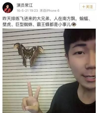 盘点南方那些超大的动物