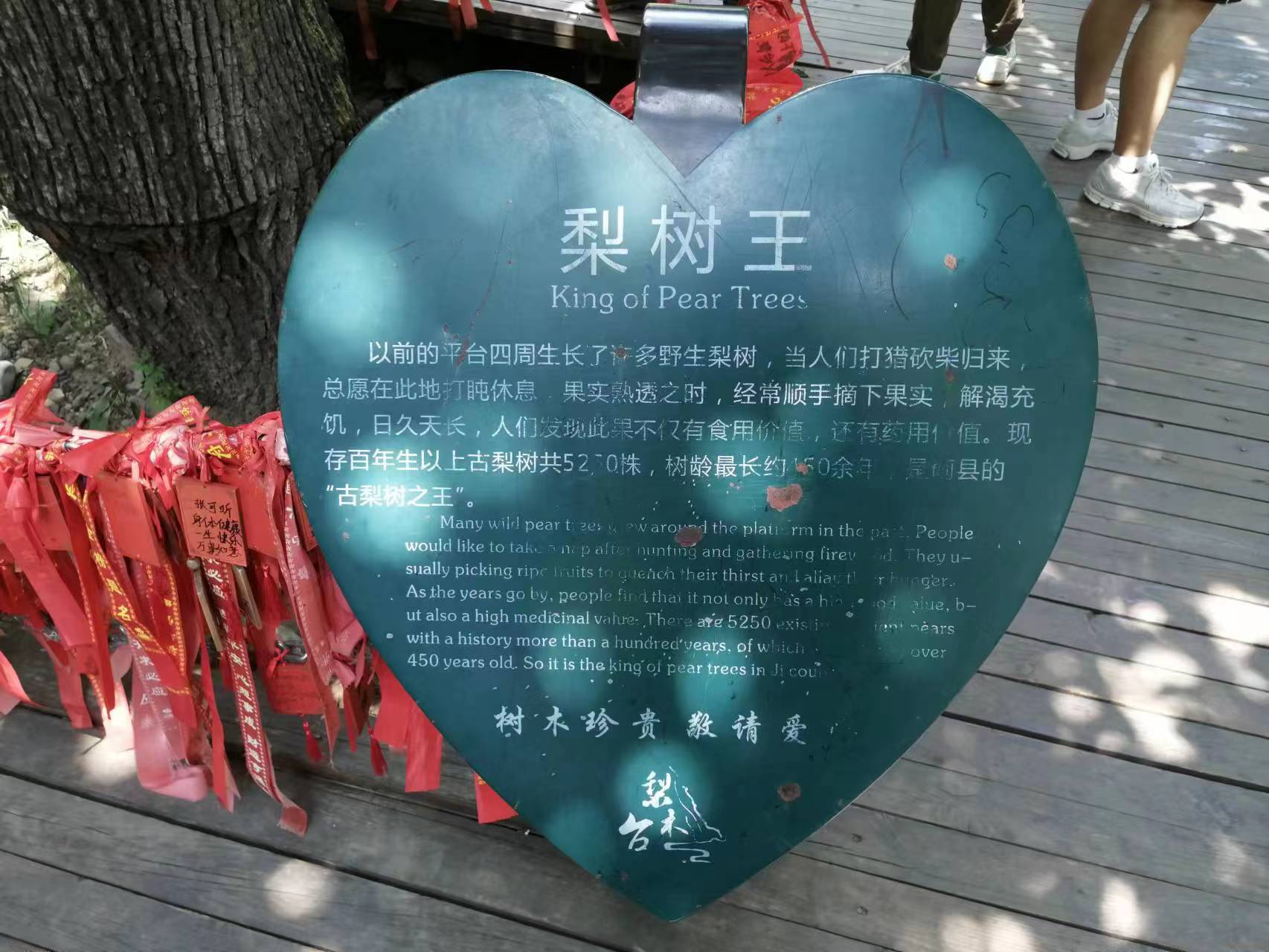 小刘日记之梨木台