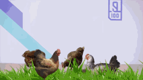 B站网页版美化插件——BewlyBewly