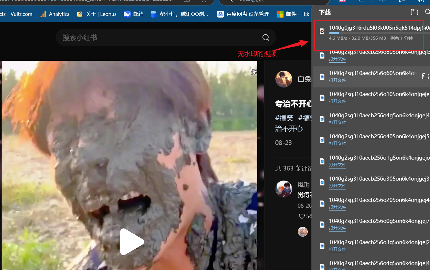 小红书无水印下载插件